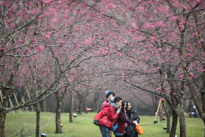 日月潭五星級飯店